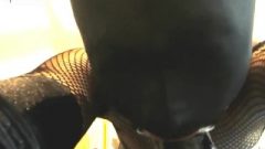 10 Inch Vibrator Throating And Intense Butt Banging Ring Gagged Slave Bitch